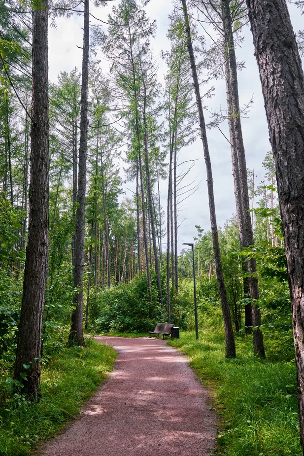 Парк Малевича